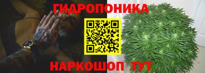 гашик Балахна