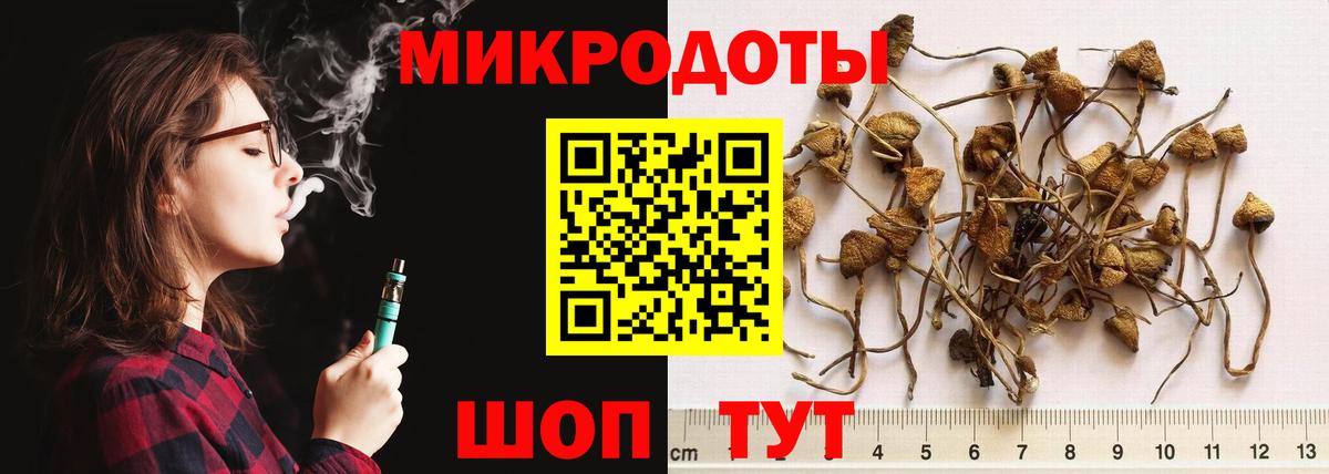 как найти   Галлюциногенные грибы MAGIC MUSHROOMS  Вход с VPN  Аша 
